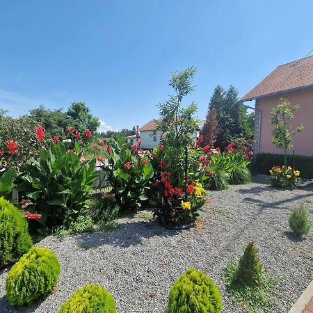 B&B Majhen Kopacevo Buitenkant foto