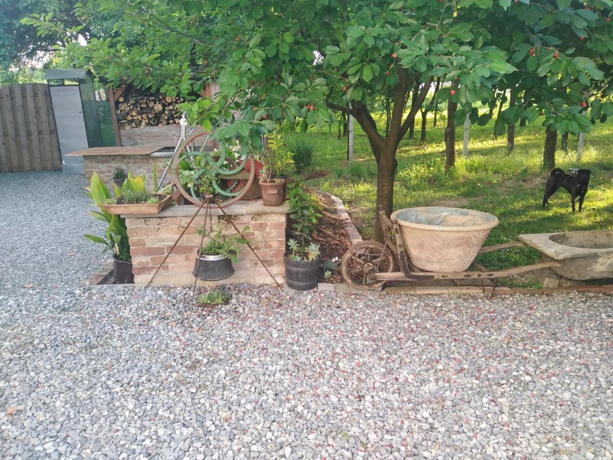 B&B Majhen Kopacevo Buitenkant foto