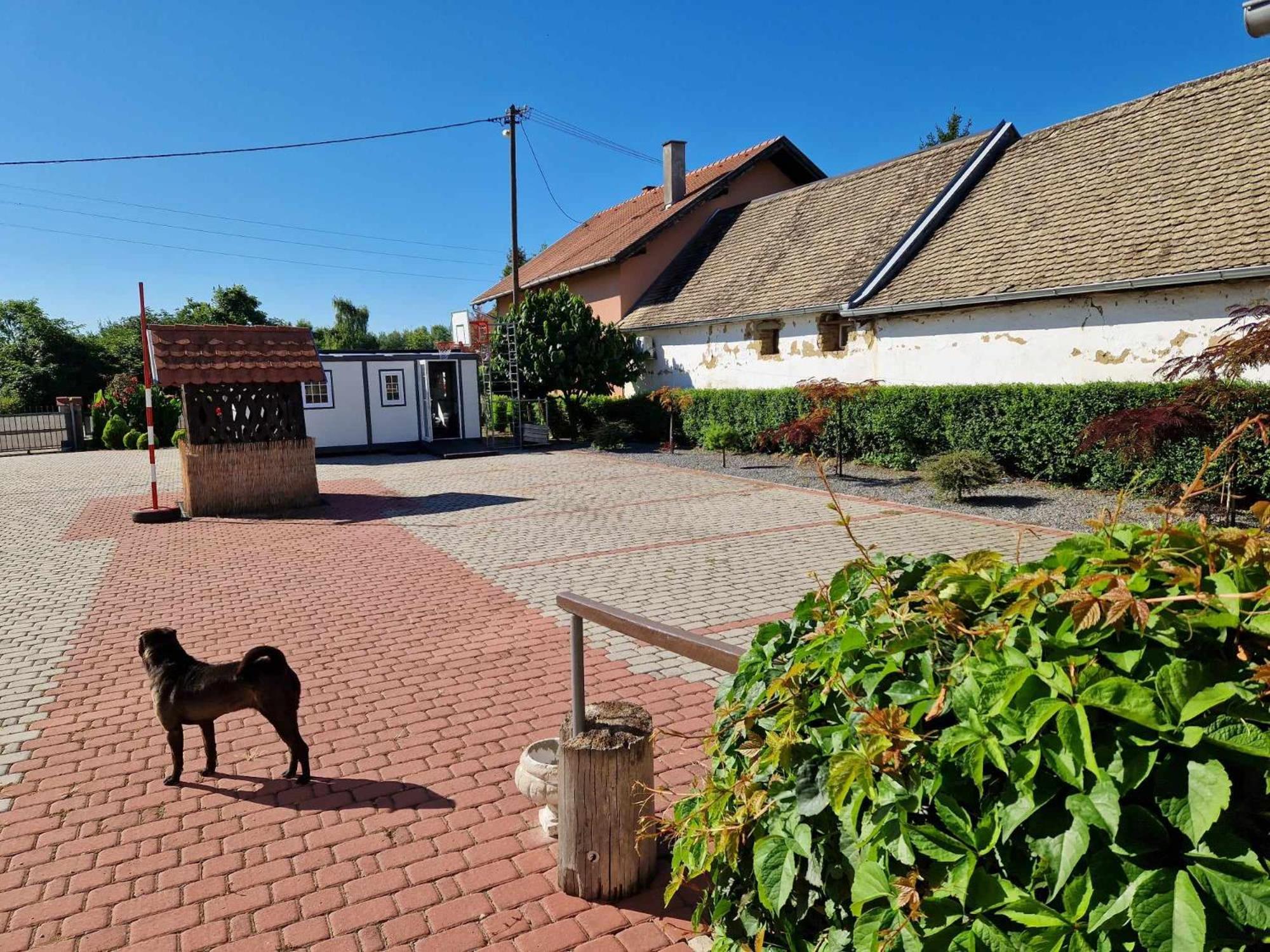 B&B Majhen Kopacevo Buitenkant foto