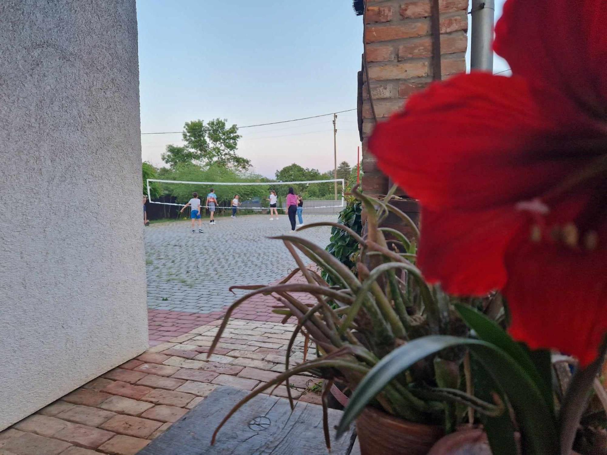 B&B Majhen Kopacevo Buitenkant foto